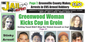 Greenville Cover 931